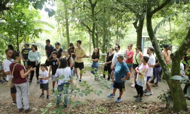 Parque Alberto Simões tem arbotrilha neste sábado 3